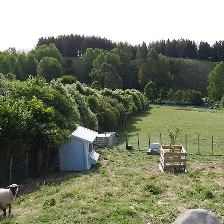 Aston Road Villa Bed & Breakfast Waikanae Bagian luar foto