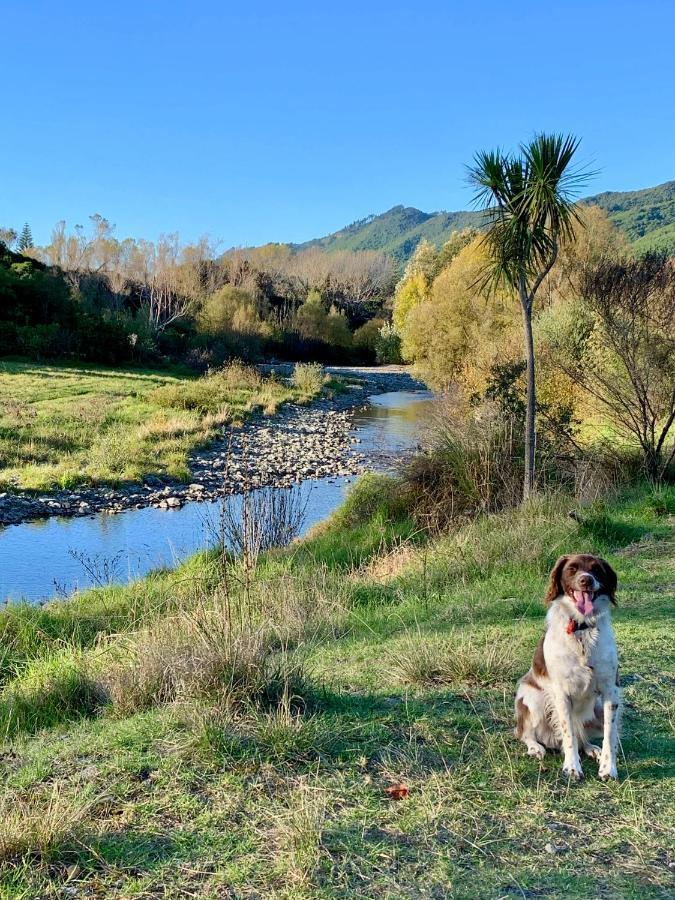 Aston Road Villa Bed & Breakfast Waikanae Bagian luar foto